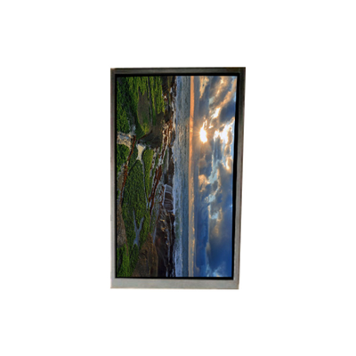 Harga yang bagus BS053HDG-N50-6200 5,2 inci LCD Tampilan layar LCD Panel Untuk Ponsel on line