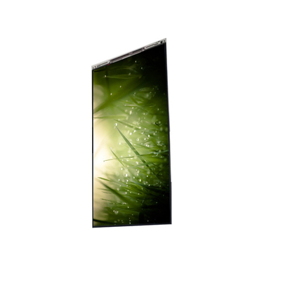 Harga yang bagus BS055FHG-E41-6C00 5,5 inci LCD Tampilan layar LCD PANEL Untuk ponsel on line