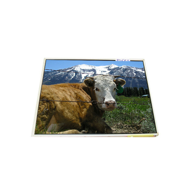 Harga yang bagus LP121X1-A2M1 12,1 inci 1024*768 Laptop LCD Display on line