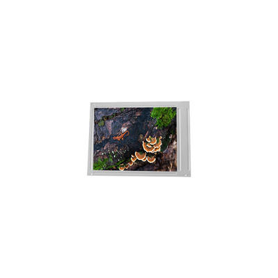 Harga yang bagus LM64P89N 10,4 inci 640*480 LCD Layar LCD MODUL on line