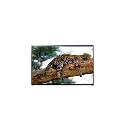 Harga yang bagus LP141WP1-TLE6 14,1 inci 60Hz LCD Panel 1440*900 Layar LCD on line