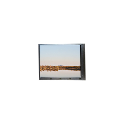 Harga yang bagus MV238FHB-N31 23,8 inci TFT-LCD Screen untuk Desktop Monitor on line