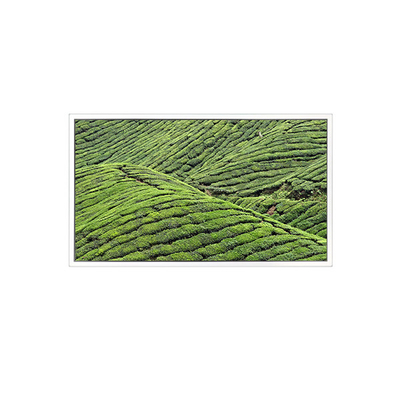 Harga yang bagus DV320WHD-NT0 32,0 inci 1366*768 Layar LCD Untuk Tampilan Transparan on line