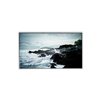 Harga yang bagus 1366*768 HF236WHB-F20 23.6 inci LCD Screen Display Panel on line