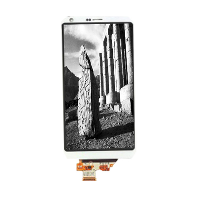 Harga yang bagus LM185WH1-TLFF LVDS 18,5 inci 30 pin Panel layar LCD on line