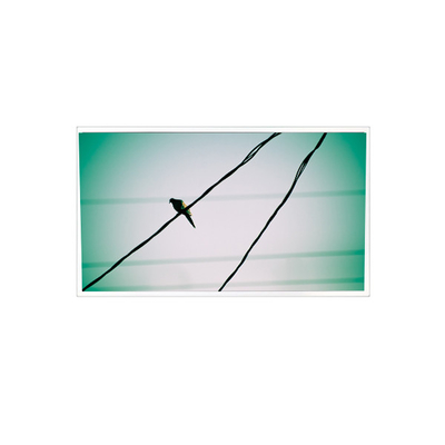Harga yang bagus TDA104-001V01 10,4 inci 1024*768 1000:1 LVDS LCD Panel Display untuk Industri on line