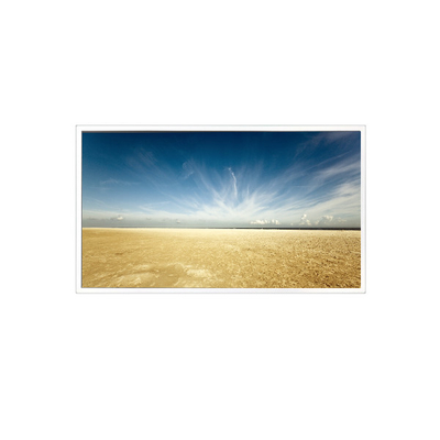 Harga yang bagus 800*1280 10,1 inci TV101WXM-NM0 500 cd/m2 LCD Panel untuk Pad Tablet on line