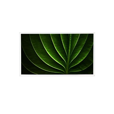 Harga yang bagus TAD201-001 20,1 inci 1600*1200 450 cd/m2 60Hz Layar LCD untuk Industri on line