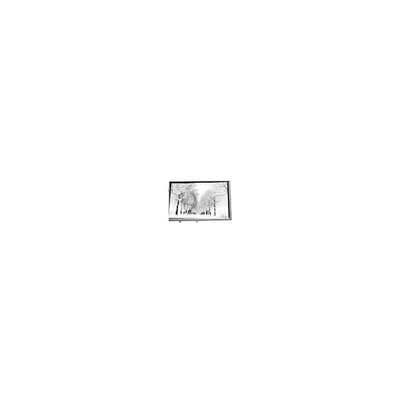 Harga yang bagus 8.8 inci 768*768 TPA088-001V02 16.7M 71% NTSC LCD Panel untuk Industri on line