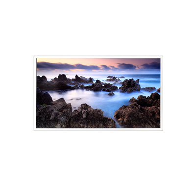 Harga yang bagus TV201U0M-N00 20,1 inci 1600*1200 1000:1 LCD Screen Panel Display on line