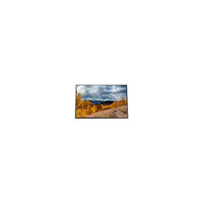 Harga yang bagus A070STN01.1 1024*600 7.0 inci 60Hz LCD Screen untuk UMPC MID on line