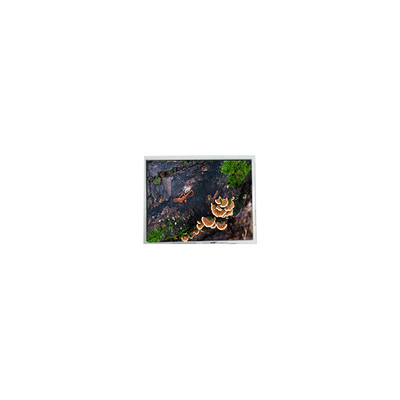 Harga yang bagus 5.7 inci PD057VU8 640*480 60Hz LCD Screen untuk Industri on line