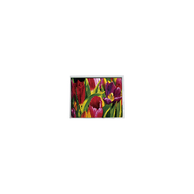 Harga yang bagus AM-800480LATMQW-TN0H-L 800*480 5,0 inci 3S6P WLED LCD Panel on line