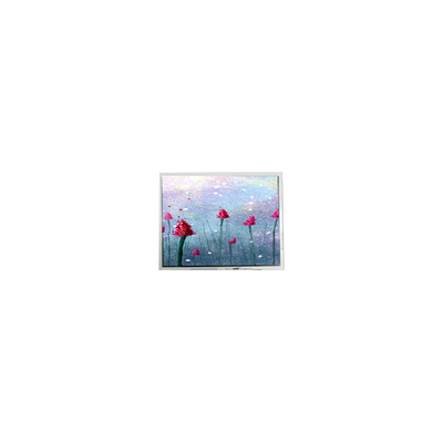 Harga yang bagus AM-800480LTMQW-TW1H 5,0 inci 800*480 LCD Panel Touch Display Screen on line