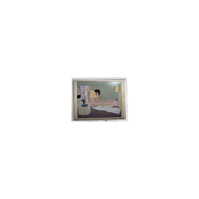 Harga yang bagus 800*480 5,0 inci AM-800480NATZQW-00H LCD Screen Panel Display on line