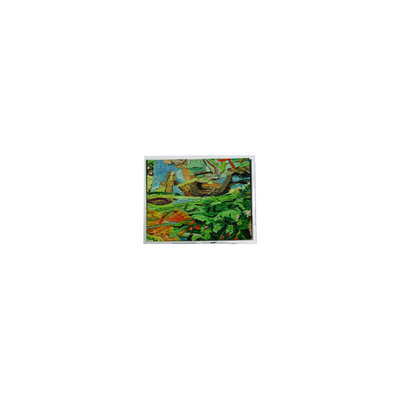 Harga yang bagus Original 800*480 5.0 inci AM-800480NGTZQW-01H 45 pin WLED LCD Screen Panel on line