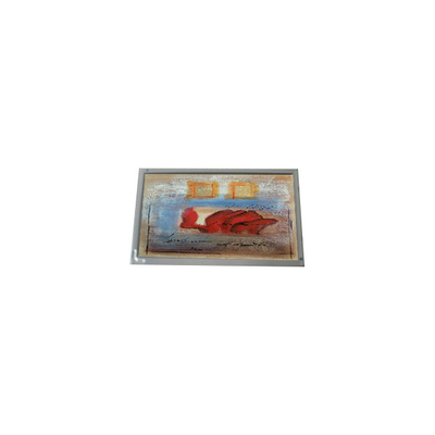 Harga yang bagus Hot Sell 800*480 AM-800480S5LMQW-00 7.0 inci 1000: 1 LCD Panel on line