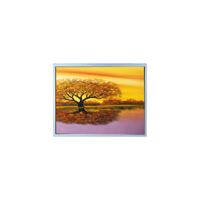 Harga yang bagus AM-1024768J3TRQW-A0 1024*768 8.0 inci TFT LCD Screen Display Panel on line