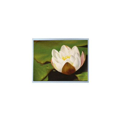 Harga yang bagus AM-1024768M2TMQW-T06H 1024*768 10,4 inci PCAP TFT LCD Screen Bagian on line