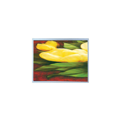 Harga yang bagus Hot Sell 12,1 inci AM-1024768R2TNQW-T00H 1024*768 TFT LCD Screen on line