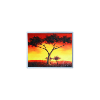 Harga yang bagus AM-1024768Z6TZQW-00H 1024*768 12,1 inci 1300 cd/m2 TFT Layar LCD on line