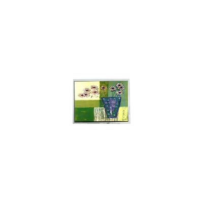 Harga yang bagus 240*64 5,2 inci DMF5010NBU-FW-BD 20 pin LCD Panel Screen on line