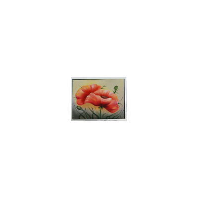 Harga yang bagus DMF5010NF-FW 240*64 5,2 inci LCD Panel Layar Industri on line