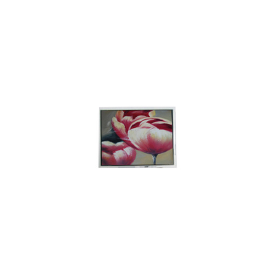 Harga yang bagus Original 240*64 DMF5010NF-FW-BE 5,2 inci 70Hz LCD Panel on line