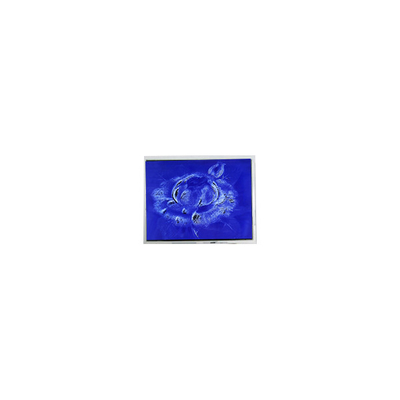 Harga yang bagus Original 640*480 DMF50260NFU-FW-21 9,4 inci 70Hz layar LCD Panel on line