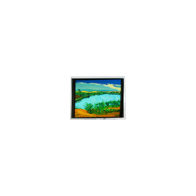 Harga yang bagus DMF-50316NF-FW-1 240*64 5,2 inci 130 cd/m2 layar LCD on line