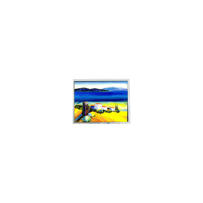Harga yang bagus Hot Sell 5,4 inci DMF50773NF-FW 240*128 22 pin layar LCD on line
