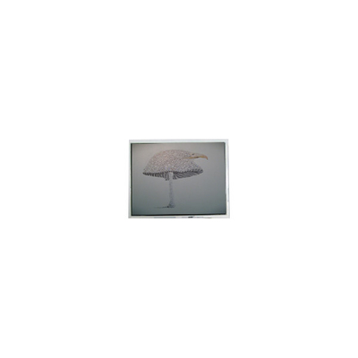 Harga yang bagus 9.4 inci DMF-51043NFU-FW 640*480 layar LCD Panel on line