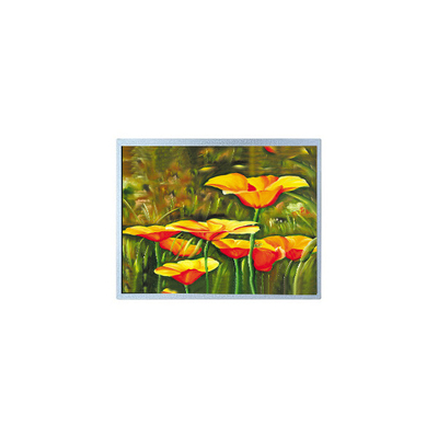 Harga yang bagus Hot Sell 10,4 inci T-51410D104-FW-P-AC 800*600 LCD Screen Industrial on line