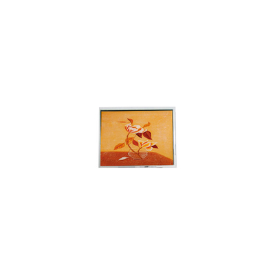 Harga yang bagus T-55225D104J-FW-A-AAN 10,4 inci 1024 * 768 LCD Screen Module on line