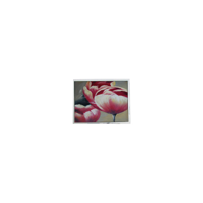 Harga yang bagus T-55548GD057JU-LW-AAN 5.7 inci 262K LCD Screen Bagian on line