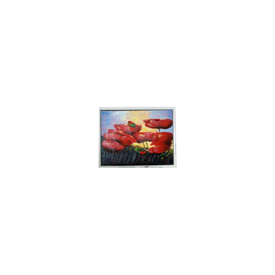 Harga yang bagus Hot Sell 6,5 inci 640*480 T-55629D065J-LW-A-ABN LCD Screen Panel Display on line