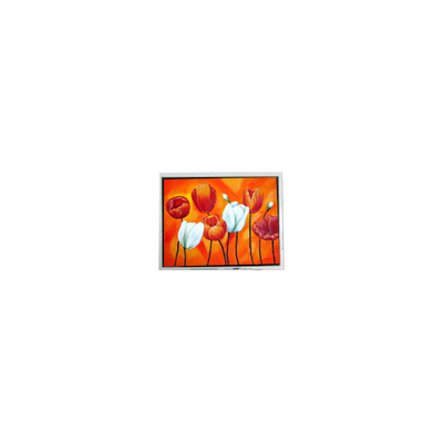 Harga yang bagus T-55644D090J-LW-A-AAN 9,0 inci 1280 * 768 Lcd Screen Untuk Industri on line