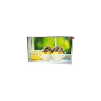 Harga yang bagus TM090RDSG06 9,0 inci 800*480 WLED layar LCD monitor on line