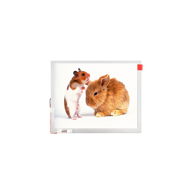 Harga yang bagus 10.1 inci TM101JVHG44-00 LVDS TFT-LCD Panel Screen lcd display on line