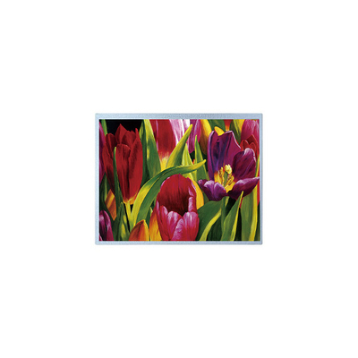 Harga yang bagus Kualitas tinggi 14.0 inci P1400FHF1MA00 TFT layar LCD Panel on line
