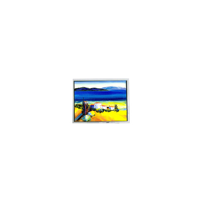 Harga yang bagus HSD050JDW2-C10-0220 800*480 5,0 inci Layar LCD on line