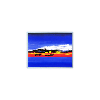 Harga yang bagus 1920*720 12,3 inci HSD123JPW2-F10 LCD layar Modul on line