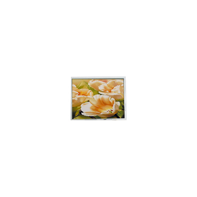 Harga yang bagus ES13BB0FLW 128 * 64 2,9 inci LCD Screen LCD Modul untuk Instrumen on line