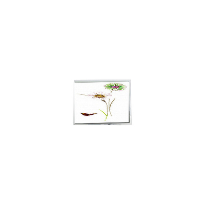 Harga yang bagus NEW 240*320 ET028003DHU 2.8 inci LCD layar sentuh Monitor on line