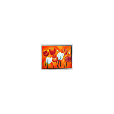 Harga yang bagus EW50397BCW 4,7 inci kecil 320*240 75Hz lcd Panel layar LCD on line
