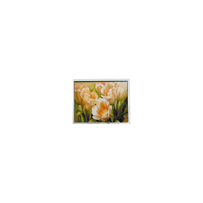 Harga yang bagus jual panas 5,0 inci COM50T5117GTC 320*240 67 pin layar LCD on line