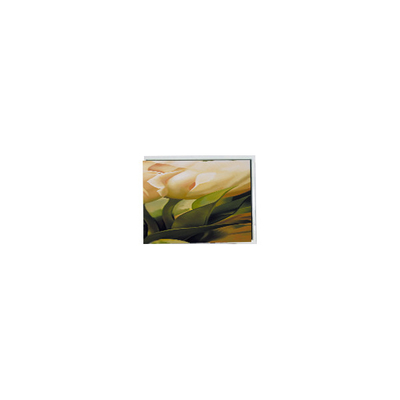 Harga yang bagus Kualitas tinggi 320*240 COM50T5124GTC 5.0 inci LCD Touch screen Module on line