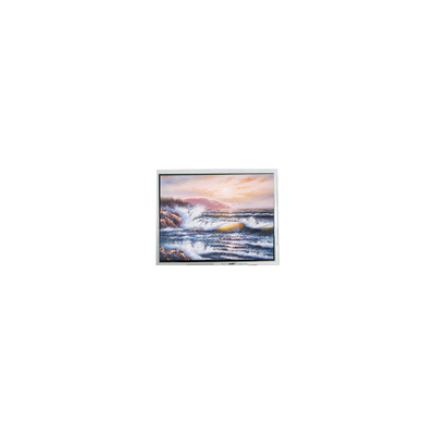 Harga yang bagus 640*480 5,7 inci COM57H5M24KSC LCD Screen Module on line