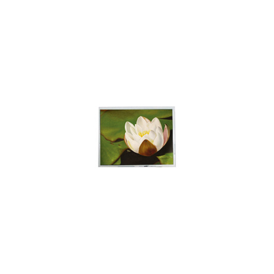 Harga yang bagus 640*480 5,7 inci COM57H5M87KTC 262K 60Hz LCD Touch Display on line