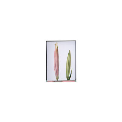Harga yang bagus C080SWW3-0 8,0 inci TFT LCD Screen Display Untuk Tablet on line